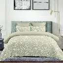 Cotton Bed Sheet Set